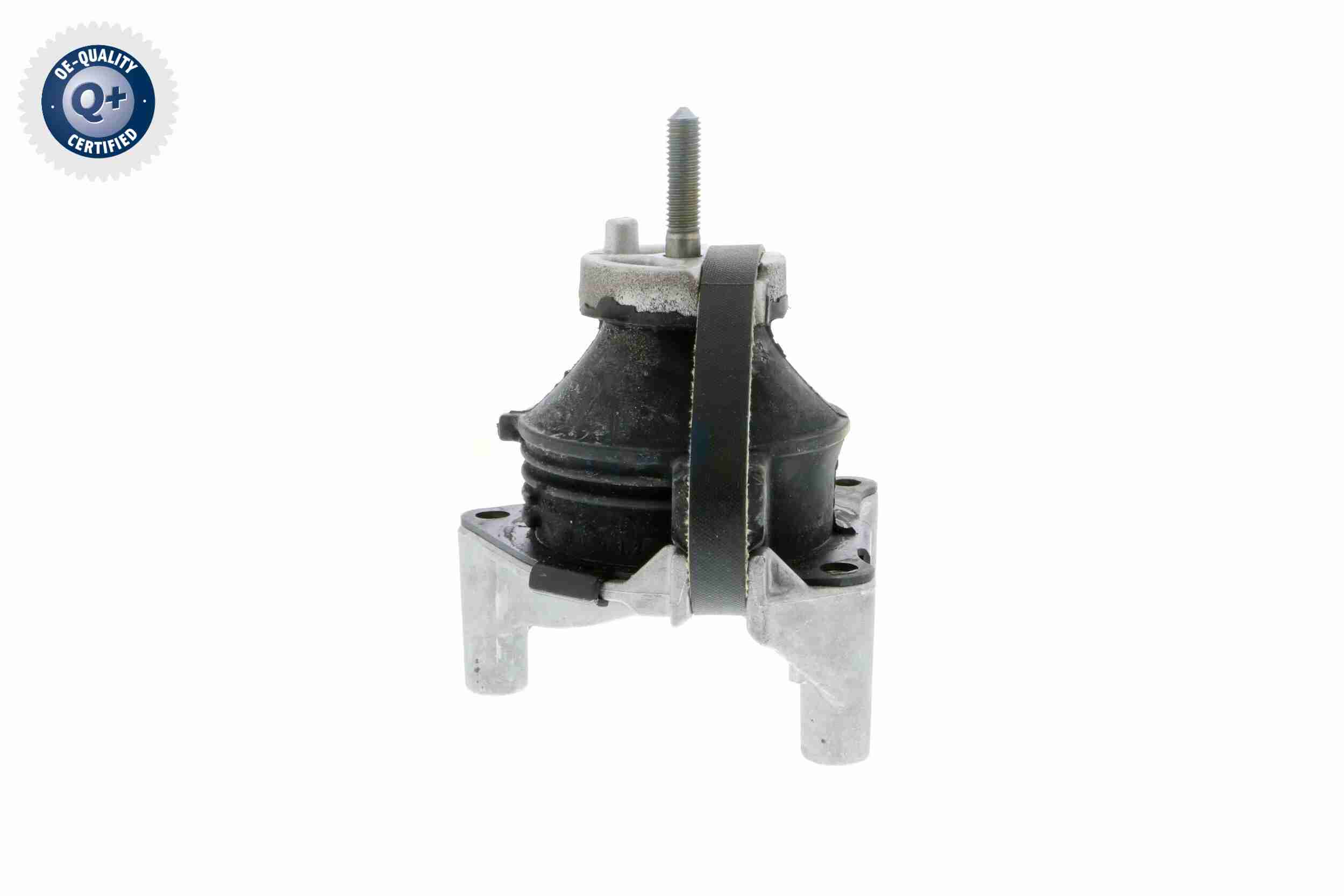 Vaico Motorsteun V50-0031