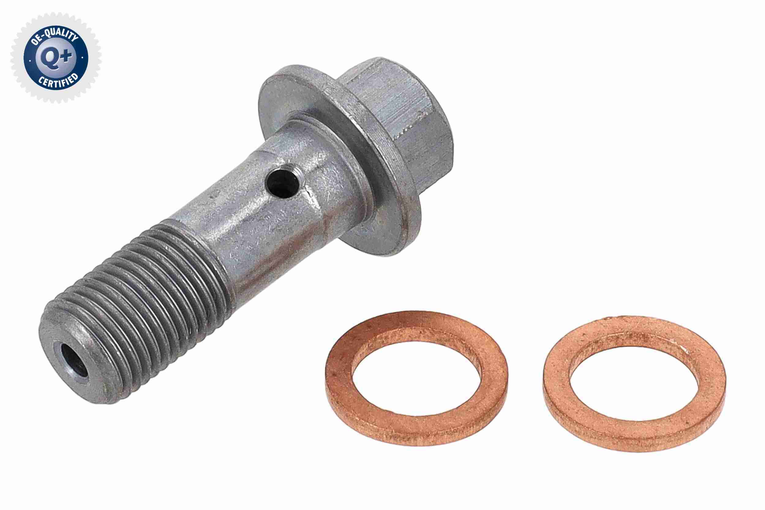 Vaico Remslang V58-0134