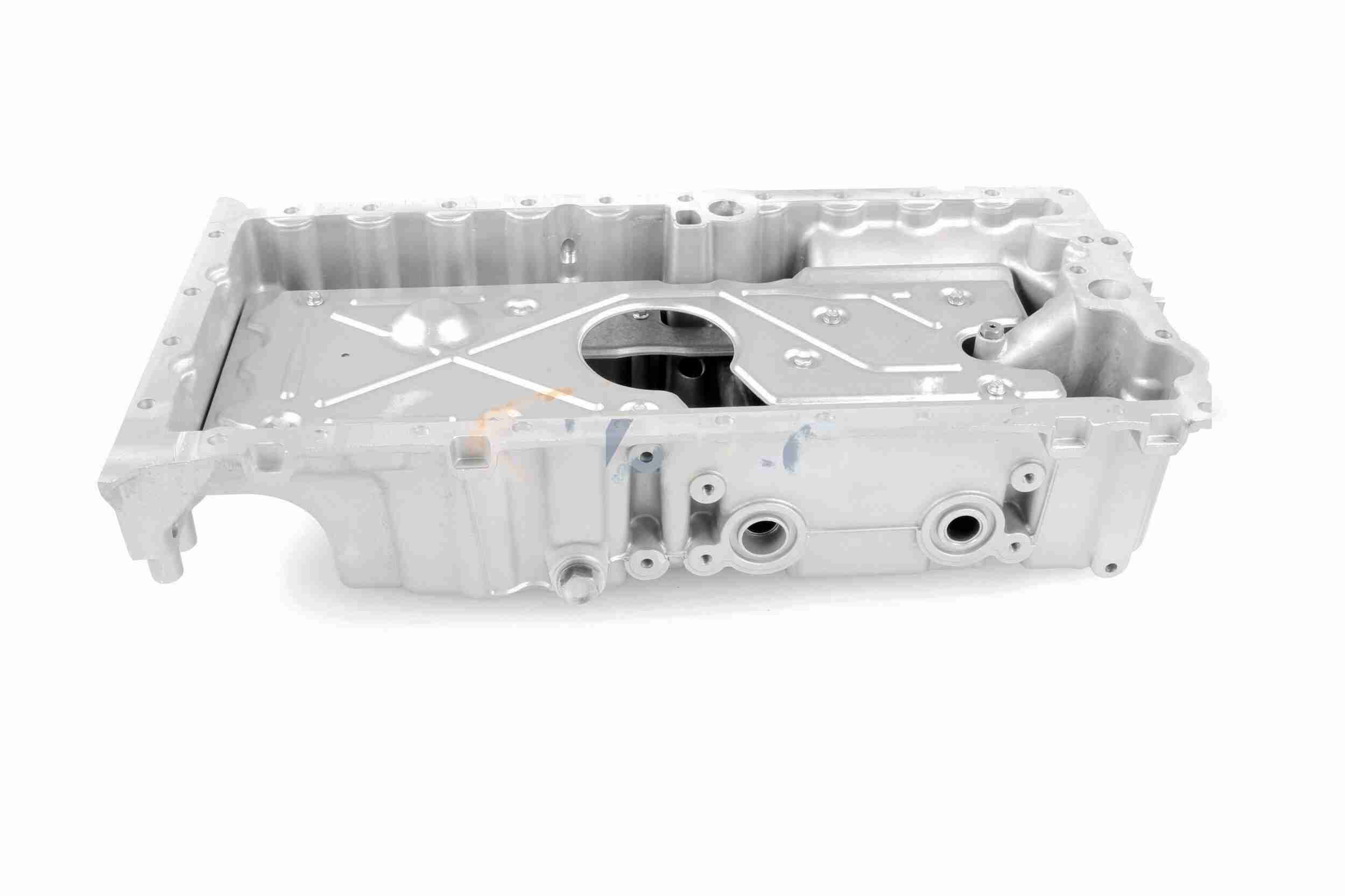 Vaico Carterpan V95-0513