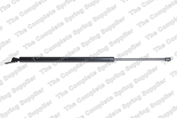 Lesjöfors Gasveer, kofferruimte 8137249