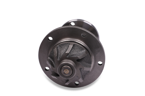 Hepu Waterpomp P0120