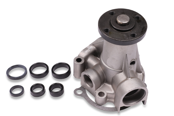 Waterpomp Hepu P050