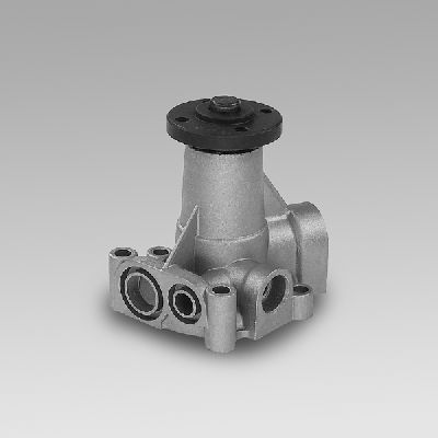 Waterpomp Hepu P055