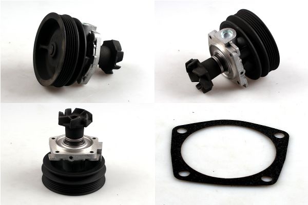 Waterpomp Hepu P100