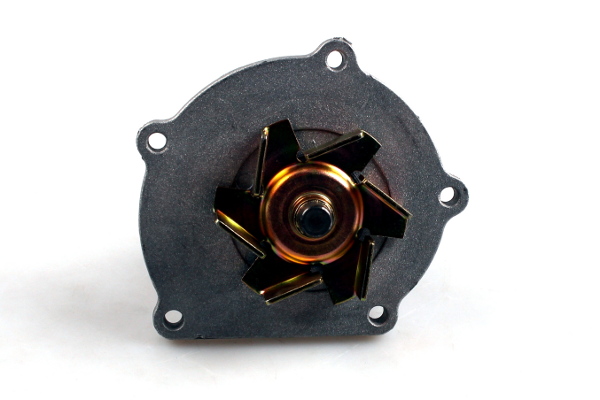 Hepu Waterpomp P1025