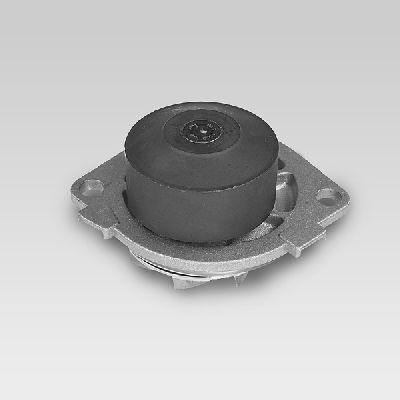 Waterpomp Hepu P1041