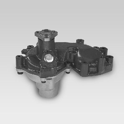 Waterpomp Hepu P1049