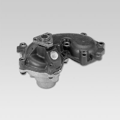 Waterpomp Hepu P1062