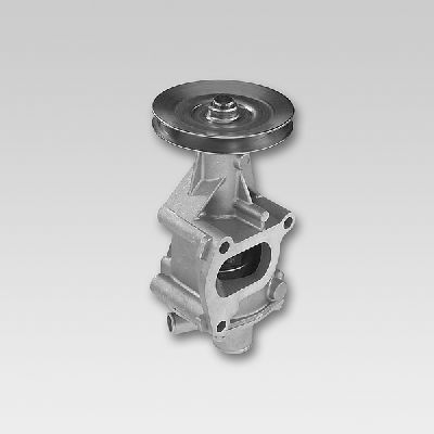 Waterpomp Hepu P109