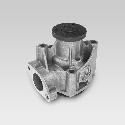 Waterpomp Hepu P114