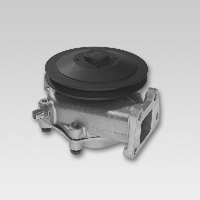Waterpomp Hepu P117