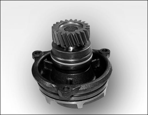 Waterpomp Hepu P1171
