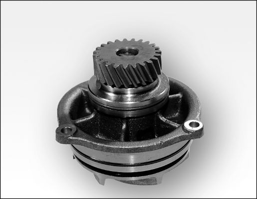 Waterpomp Hepu P1176