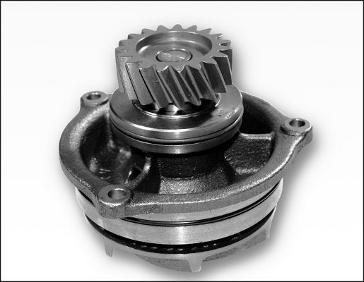 Waterpomp Hepu P1177