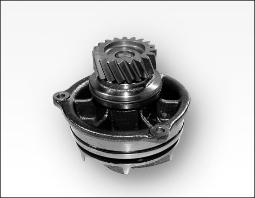 Waterpomp Hepu P1178