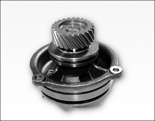 Waterpomp Hepu P1179