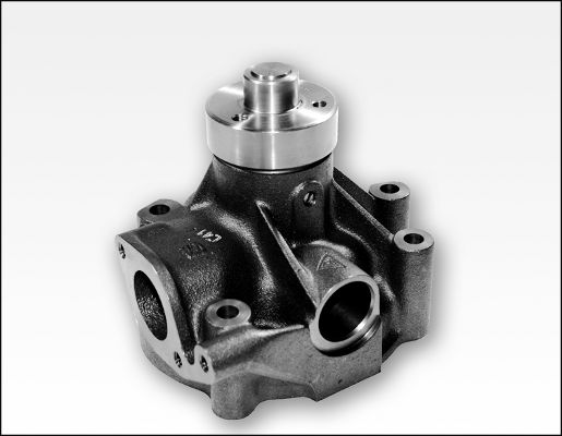 Waterpomp Hepu P1181