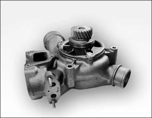 Waterpomp Hepu P1184