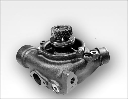 Waterpomp Hepu P1185
