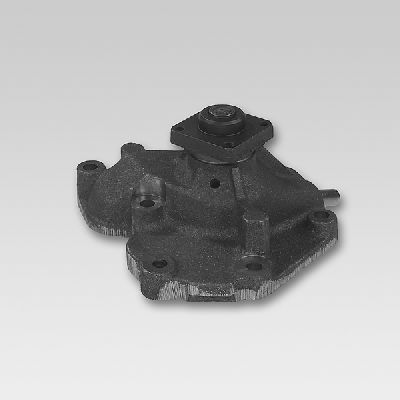 Waterpomp Hepu P214