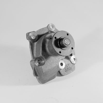 Waterpomp Hepu P219