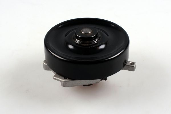 Waterpomp Hepu P2621