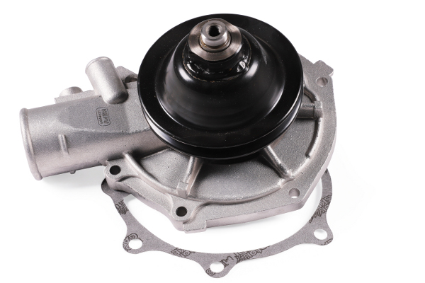 Waterpomp Hepu P309