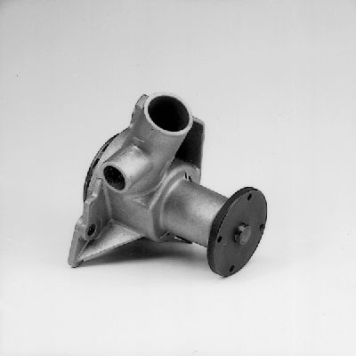 Waterpomp Hepu P456