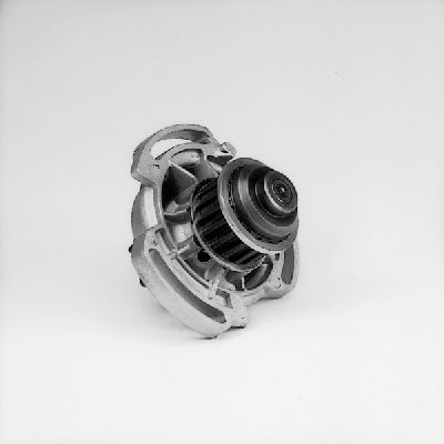 Waterpomp Hepu P521