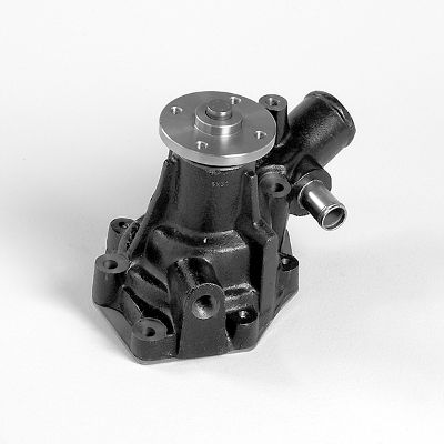 Waterpomp Hepu P7219