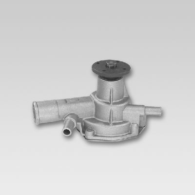 Waterpomp Hepu P727