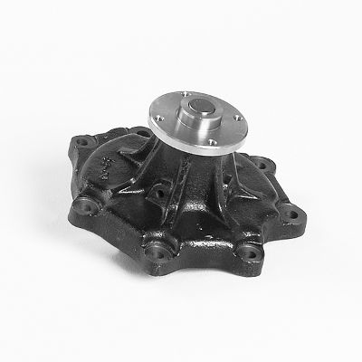 Waterpomp Hepu P7377