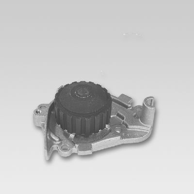 Waterpomp Hepu P739