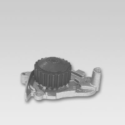 Waterpomp Hepu P748