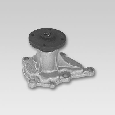 Hepu Waterpomp P751