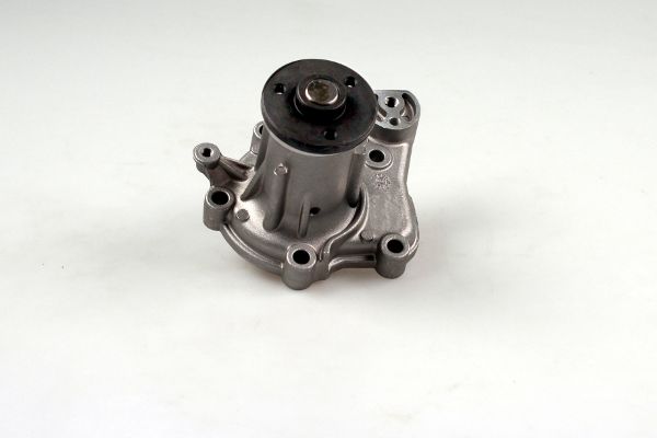 Waterpomp Hepu P7510