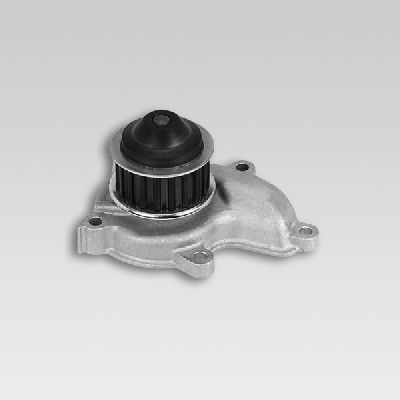 Waterpomp Hepu P752