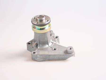 Waterpomp Hepu P7522