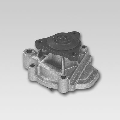 Waterpomp Hepu P757