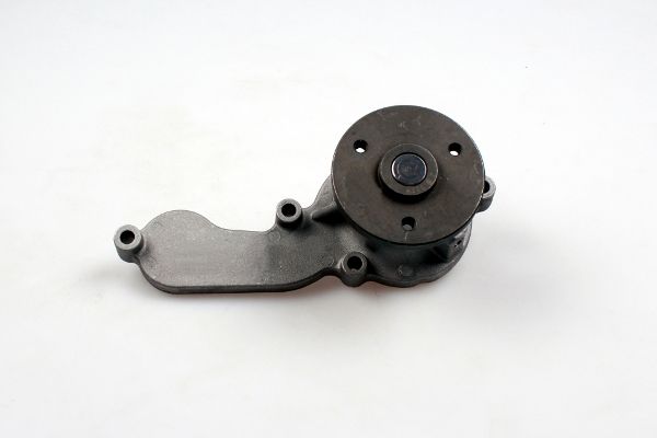 Waterpomp Hepu P7577