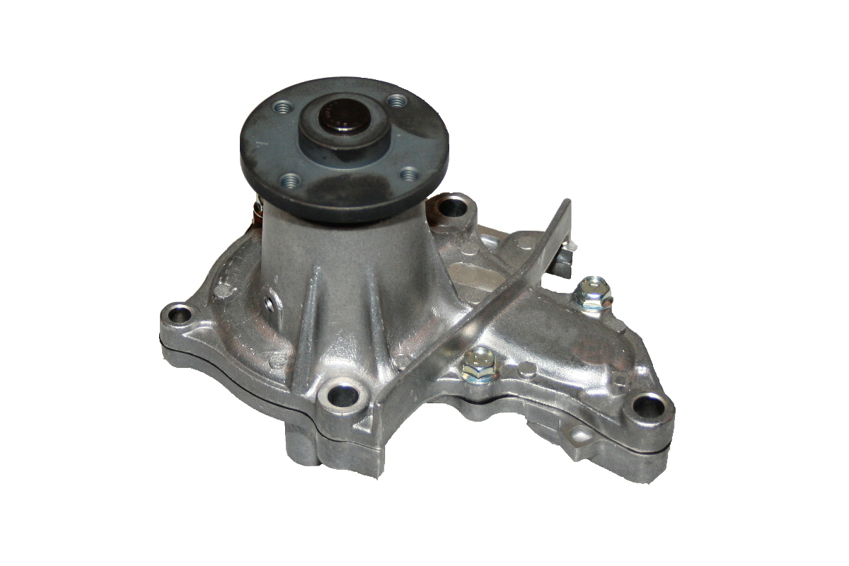 Waterpomp Hepu P762