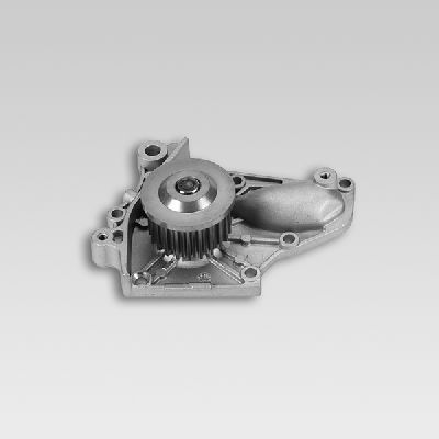 Waterpomp Hepu P763