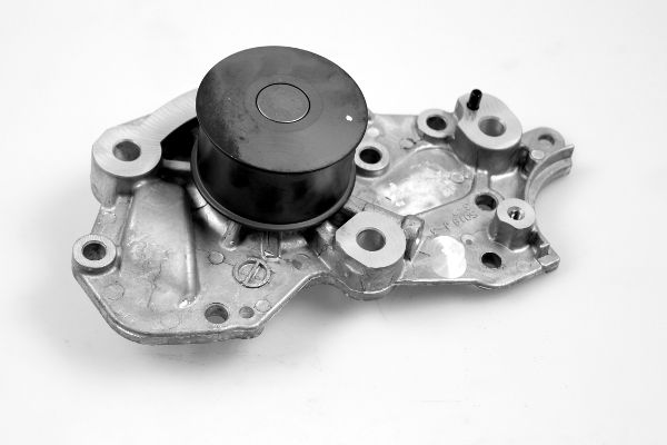 Waterpomp Hepu P7741