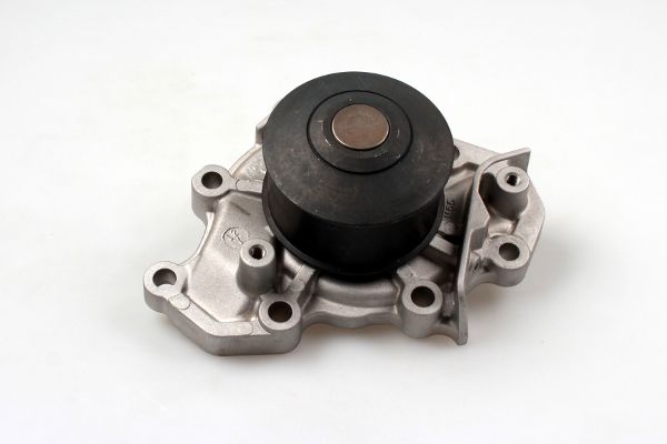 Waterpomp Hepu P7747