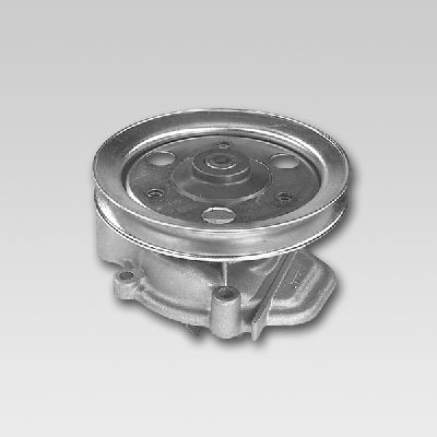 Waterpomp Hepu P7808