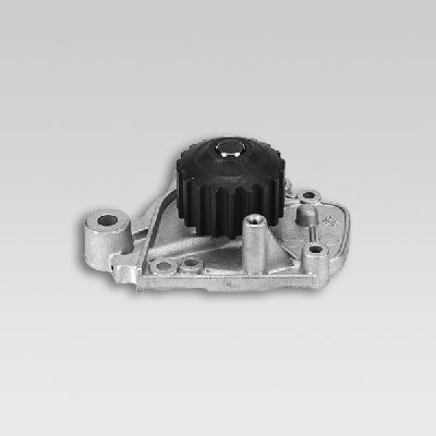 Waterpomp Hepu P782