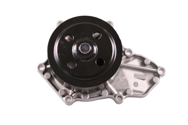 Waterpomp Hepu P7841