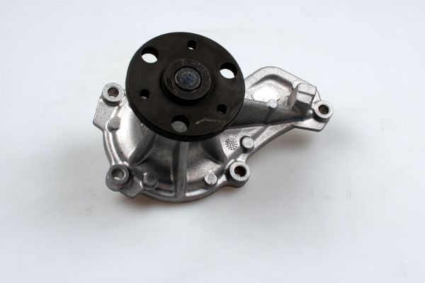 Waterpomp Hepu P7843