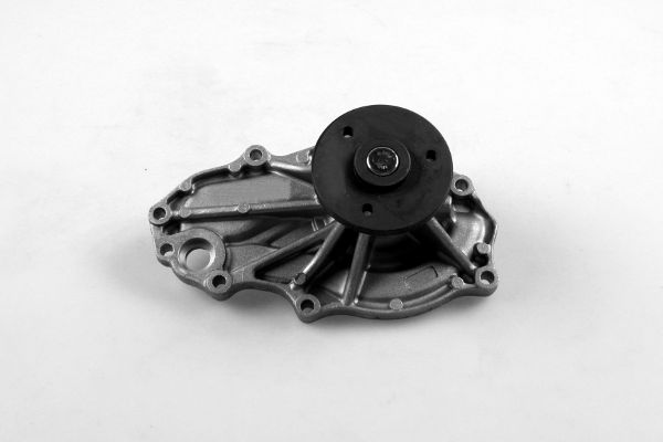 Waterpomp Hepu P7847