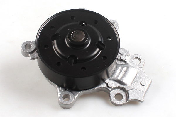 Waterpomp Hepu P7861